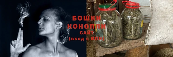 прущие грибы Липки