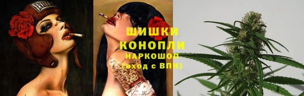 прущие грибы Липки