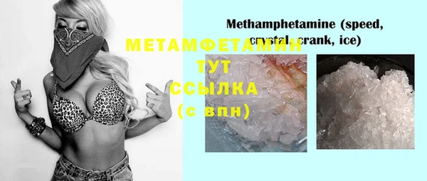 прущие грибы Липки