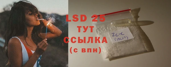 прущие грибы Липки