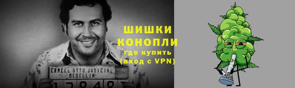 прущие грибы Липки
