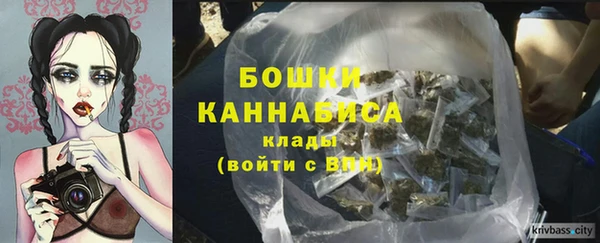 прущие грибы Липки