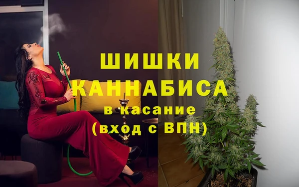 прущие грибы Липки