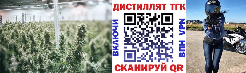 ТГК концентрат  Великий Новгород 