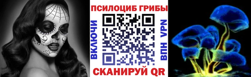 МЕГА как войти  Великий Новгород  Галлюциногенные грибы MAGIC MUSHROOMS  цена наркотик 