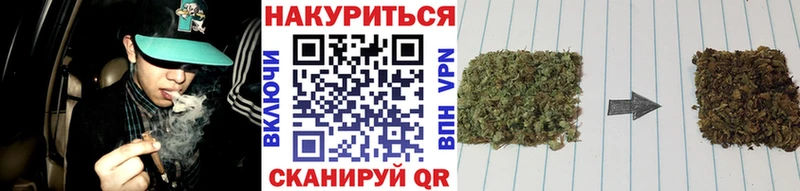 Бошки Шишки семена  где продают   Великий Новгород 